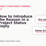 How to Introduce the Reason in a Project Status Reply