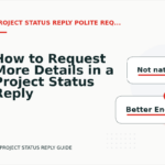 How to Request More Details in a Project Status Reply