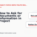 How to Ask for Documents or Information in Project Status Reply English
