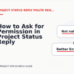 How to Ask for Permission in Project Status Reply English
