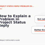 How to Explain a Problem in Project Status Reply English