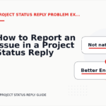 How to Report an Issue in a Project Status Reply
