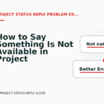 How to Say Something Is Not Available in Project Status Reply English