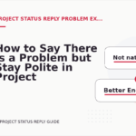 How to Say There Is a Problem but Stay Polite in Project Status Reply English