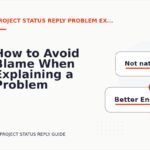 How to Avoid Blame When Explaining a Problem in Project Status Reply English