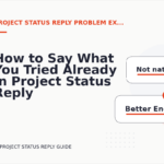 How to Say What You Tried Already in Project Status Reply English