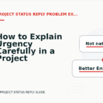 How to Explain Urgency Carefully in a Project Status Reply