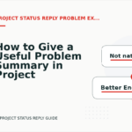 How to Give a Useful Problem Summary in Project Status Reply English